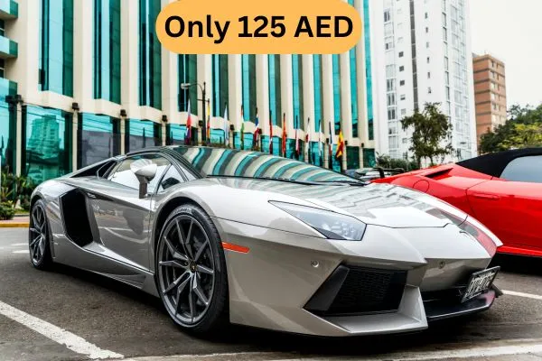 Luxury Sports Car for Residence Pick and Drop Service in Desert Safari Abu Dhabi