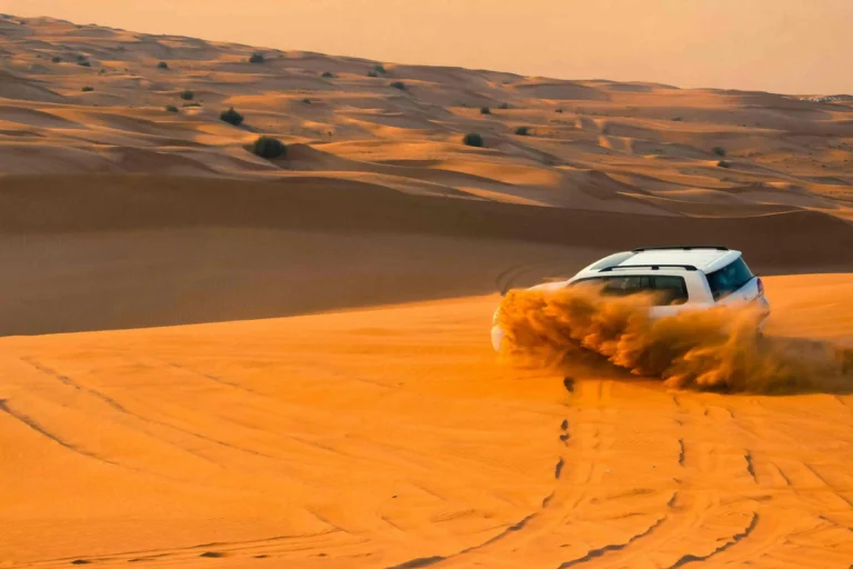 Desert Safari Abu Dhabi Dune Bashing in Golden Sand Dunes