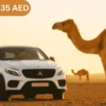 White Mercedes GLE Coupe with Camel in Abu Dhabi Desert Safari