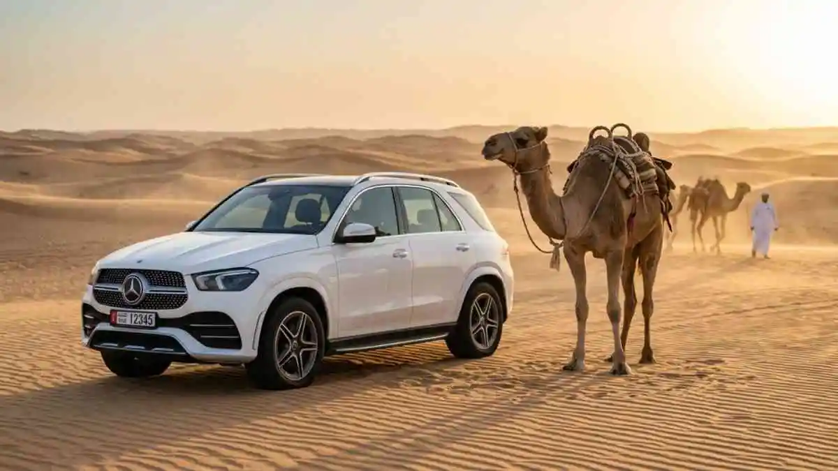 Traveler on a camel ride during a desert safari in Abu Dhabi