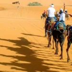 Group of Tourists Enjoying Camel Ride on Golden Sand Dunes in Desert Safari Abu Dhabi