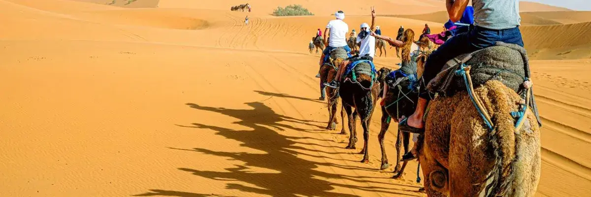 Group of guests on camels with a handler leading at the Golden Dunes camp in Abu Dhabi
