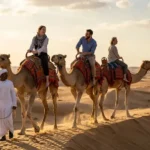 Camel trek Abu Dhabi sunset riders