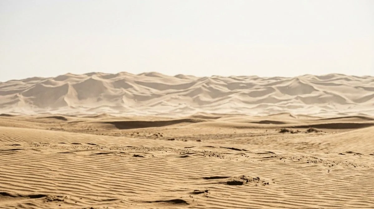 Heat shimmer rising off the Abu Dhabi dunes in April as the summer begins