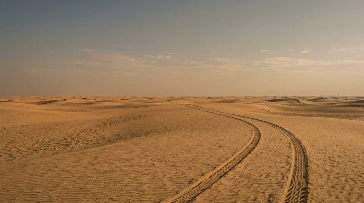 Completely empty dunes with a single set of tracks in May, the quietest month at the Abu Dhabi camp