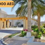 Luxury Arabian Resort Entrance with Palm Trees for VIP Desert Safari Abu Dhabi Package