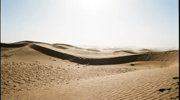 Open dunes under a white midday sky with heat shimmer above the sand near Abu Dhabi
