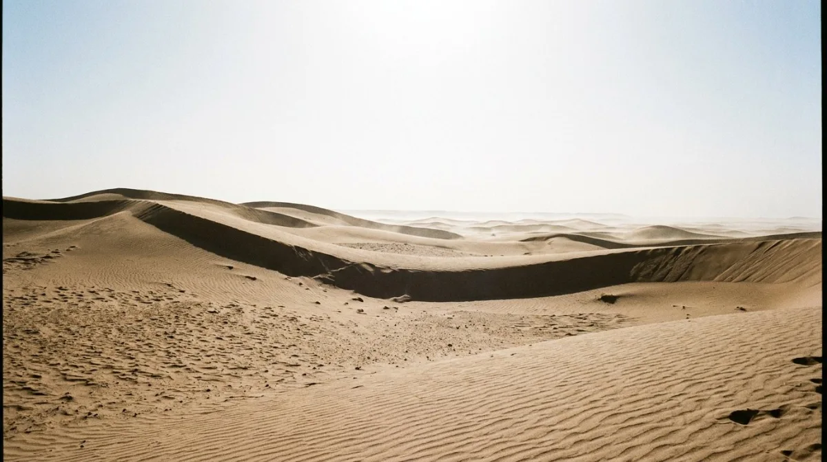 Open dunes under a white midday sky with heat shimmer above the sand near Abu Dhabi
