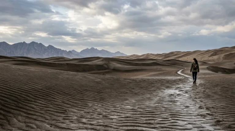 Clear washed air over open dunes in the Abu Dhabi desert in the cool season