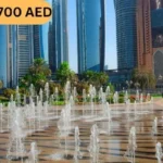 Abu Dhabi City Fountain and Skyline View for VIP Desert Safari Package